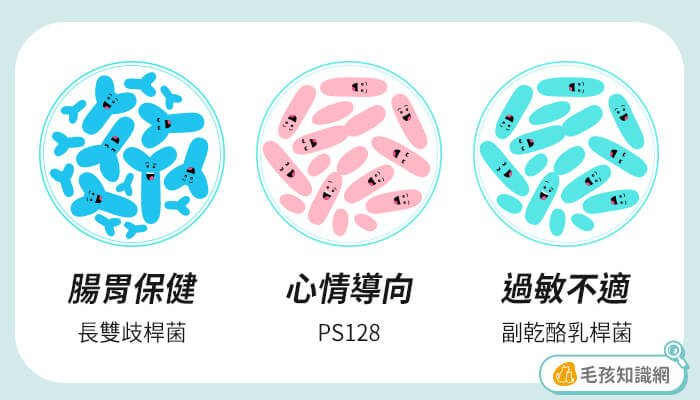 3種常見狗益生菌種類