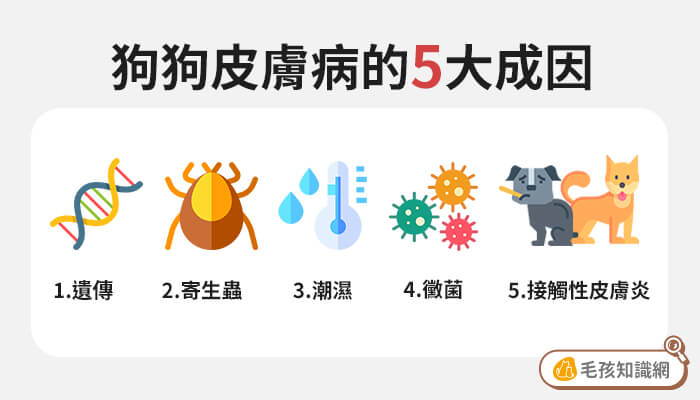 狗狗皮膚病5大成因