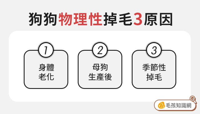 狗狗物理性掉毛的3個原因