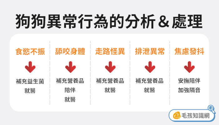 解決狗狗行為異常的5種處理方式